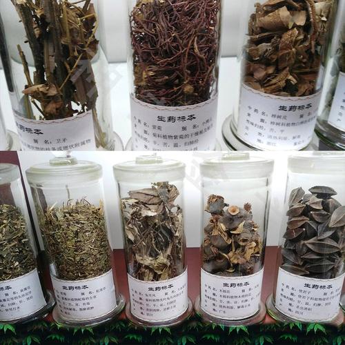 神草金方手工制作中药材标本 中医药标本馆展品 中药文化产品