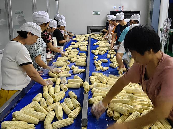 肉制品加工流水线水产品加工流水线中草药加工流水线食品加工流水线